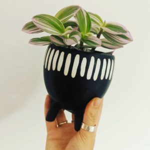 Black & white plant pot