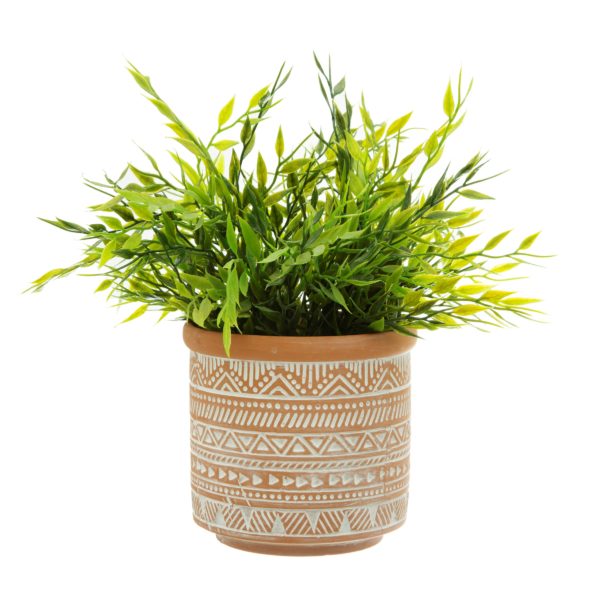 Aztec Terracotta Pot on White Background With Plant