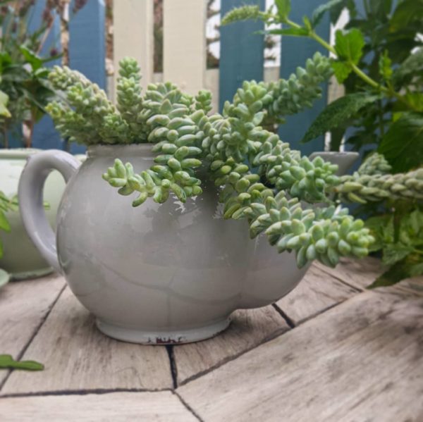 Grey Teapot Planter