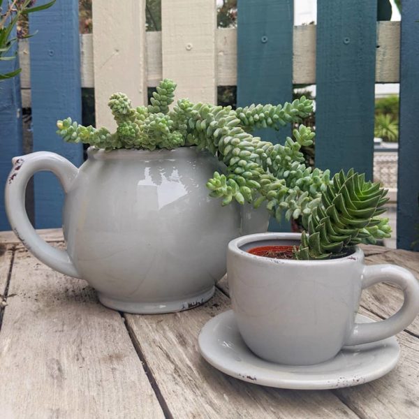 Teacup & teapot planter