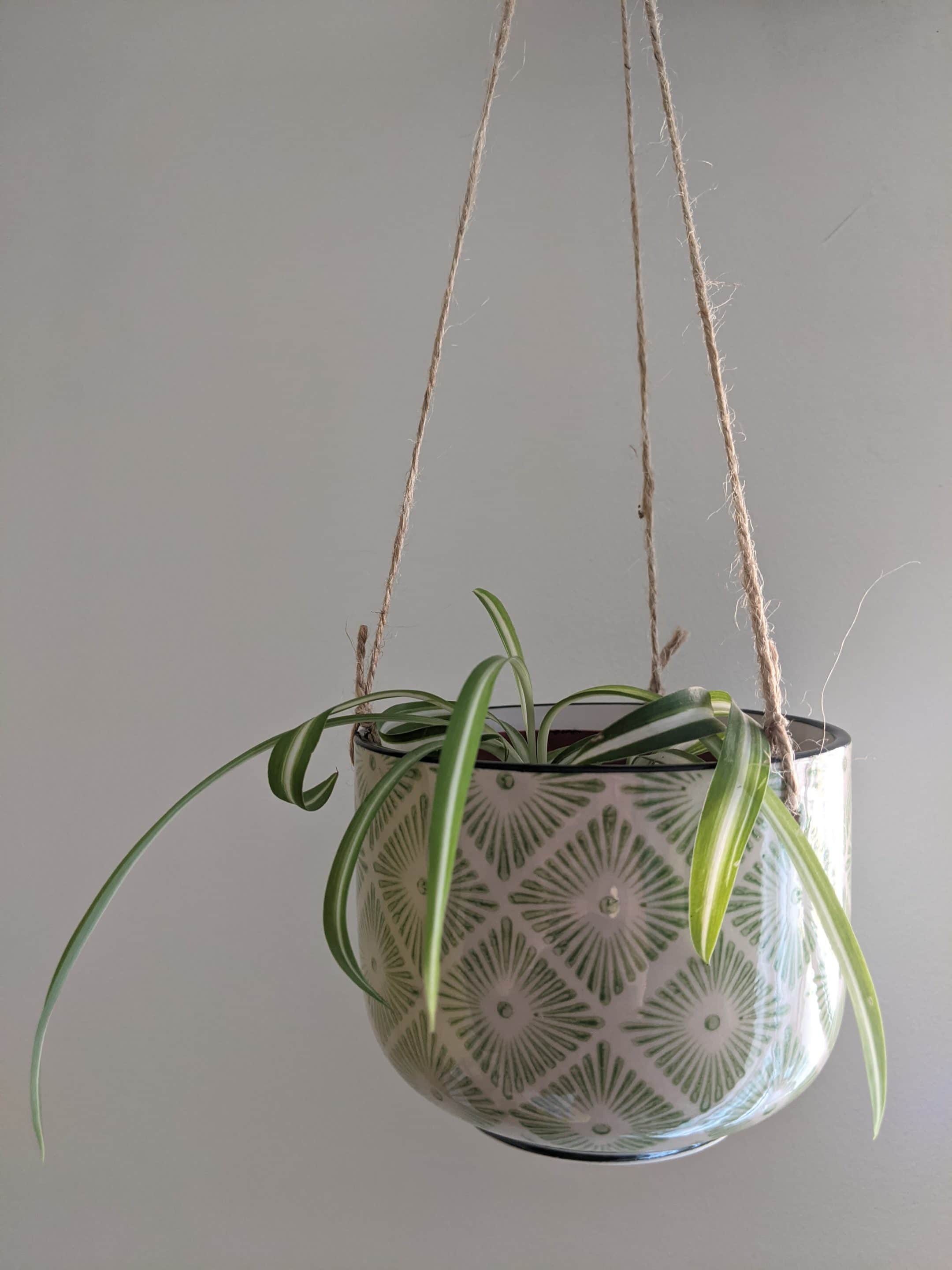 Hanging ceramic pot