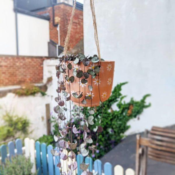 Hanging terracotta plant pot