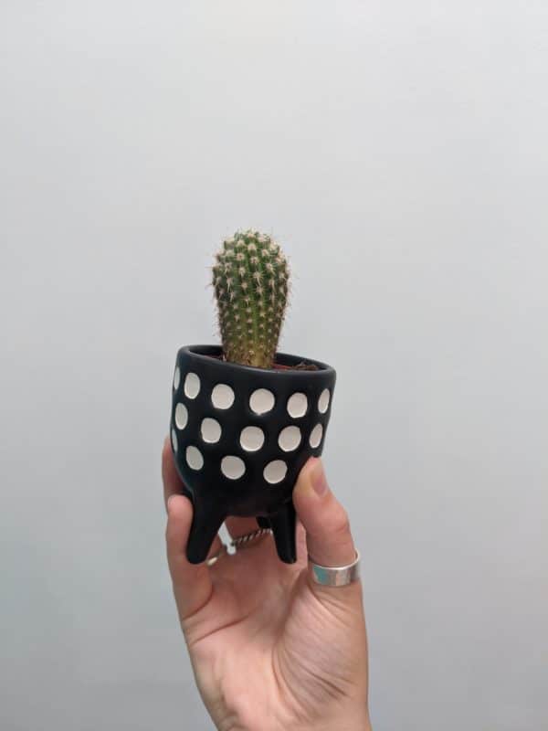Tiny Black and White Polka dot plant pot