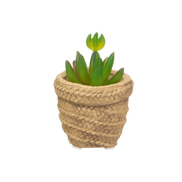 Mini woven look basket pot with plant