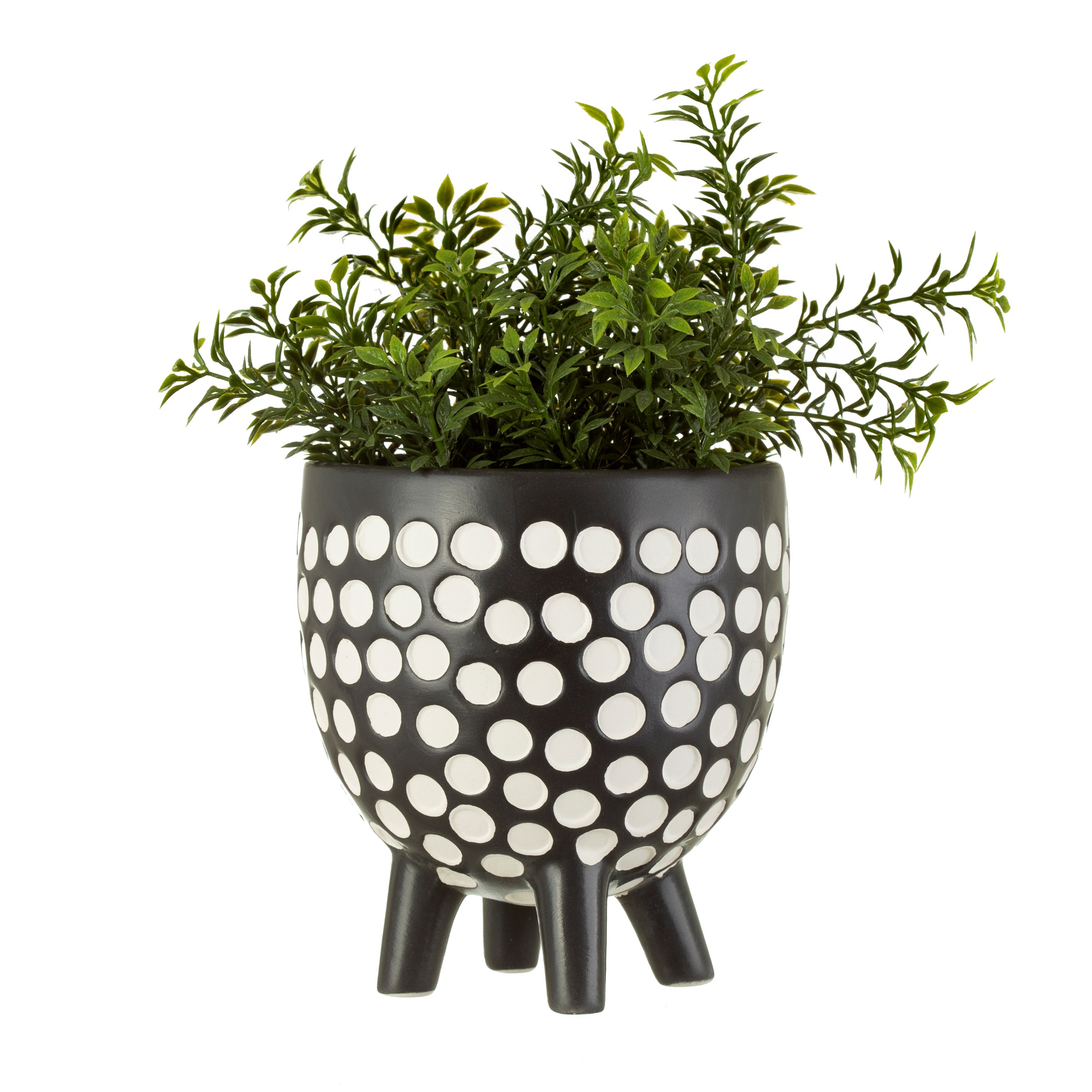 Monochrome Polka Dot Pot with Plant