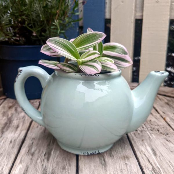 Pale Blue Teapot Planter