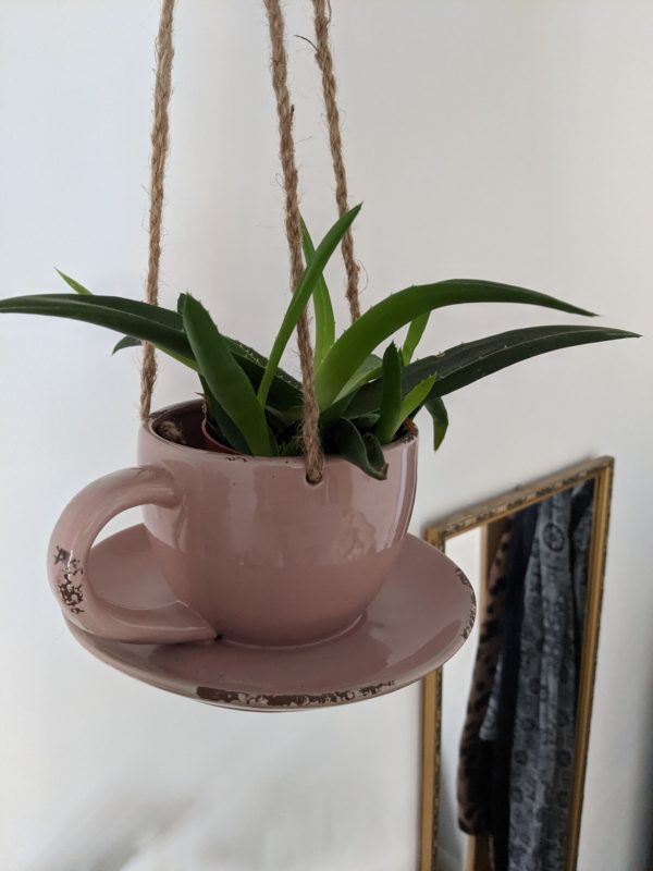 Pink Hanging Teacup Pot