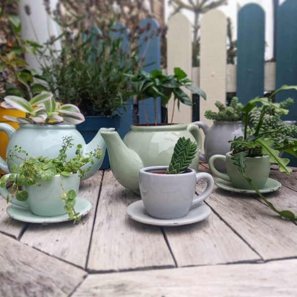 Teacup & teapot planters