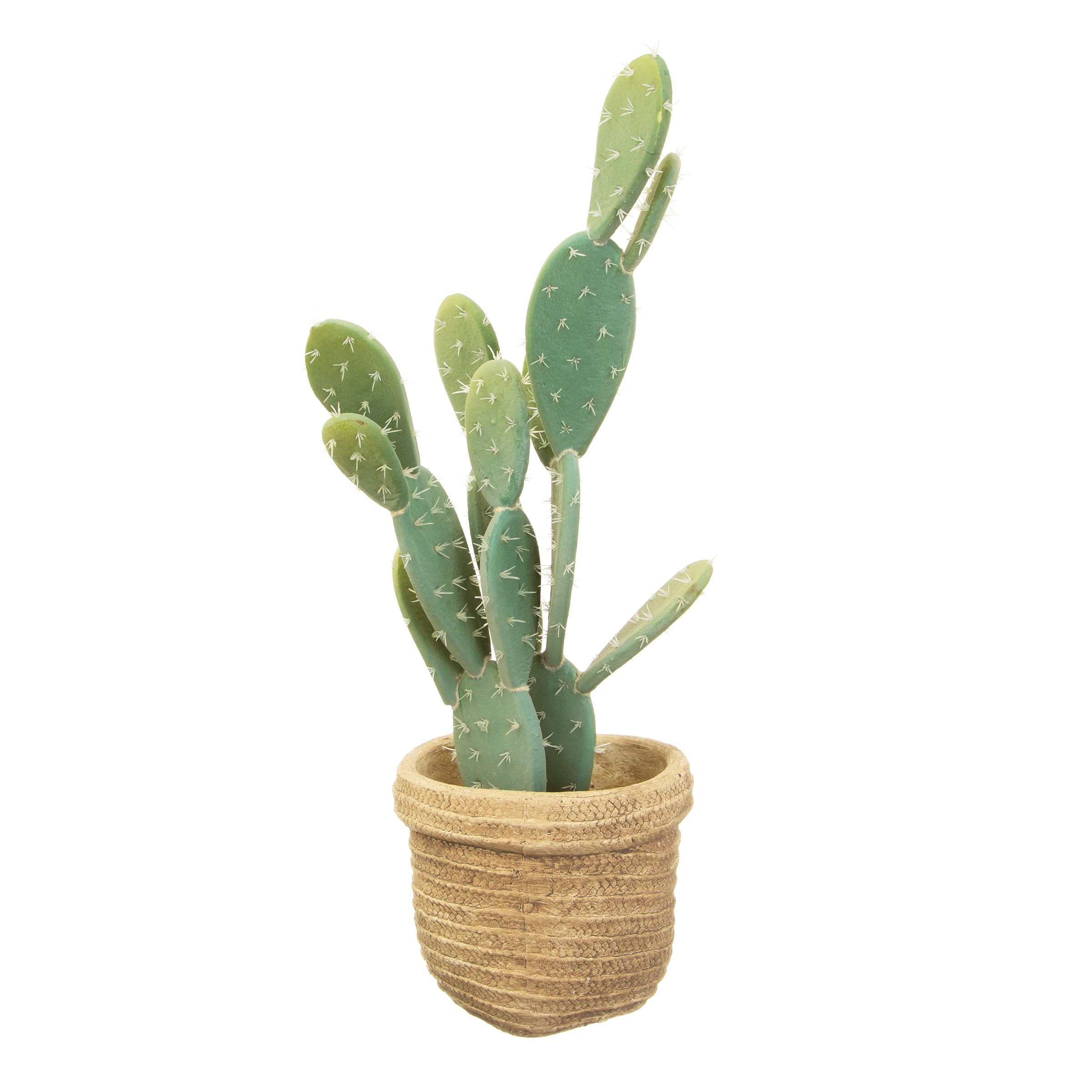 Woven Look Basket Style Planter White Background With Plant