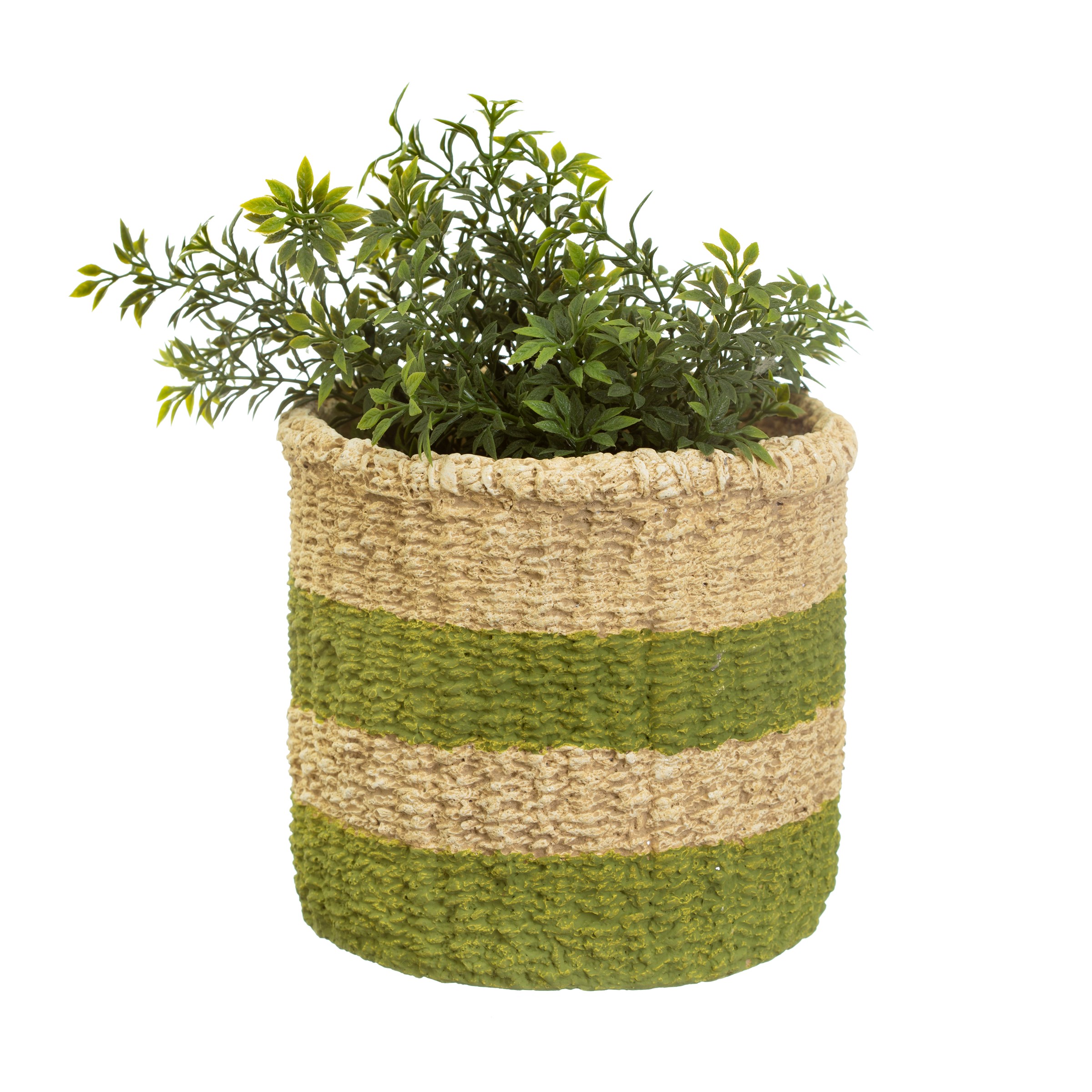 Green Stripe Basket Plant Pot with plant
