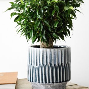 Glossy Transitional Teal Planter