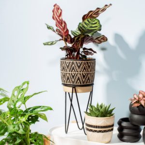 Tribal Patterned Planter & Metal Stand