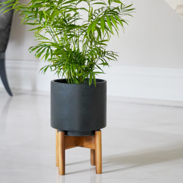 Contemporary Dark Cement Planter With Stand
