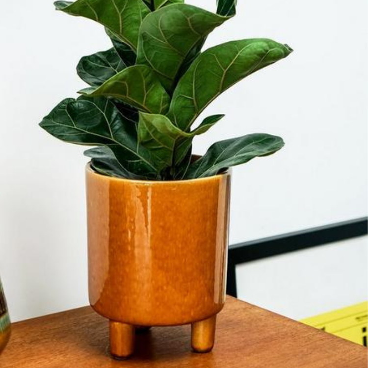 Big Yellow Plant Pot with legs